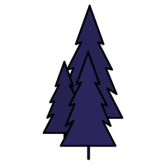 Obraz premium pines trees design