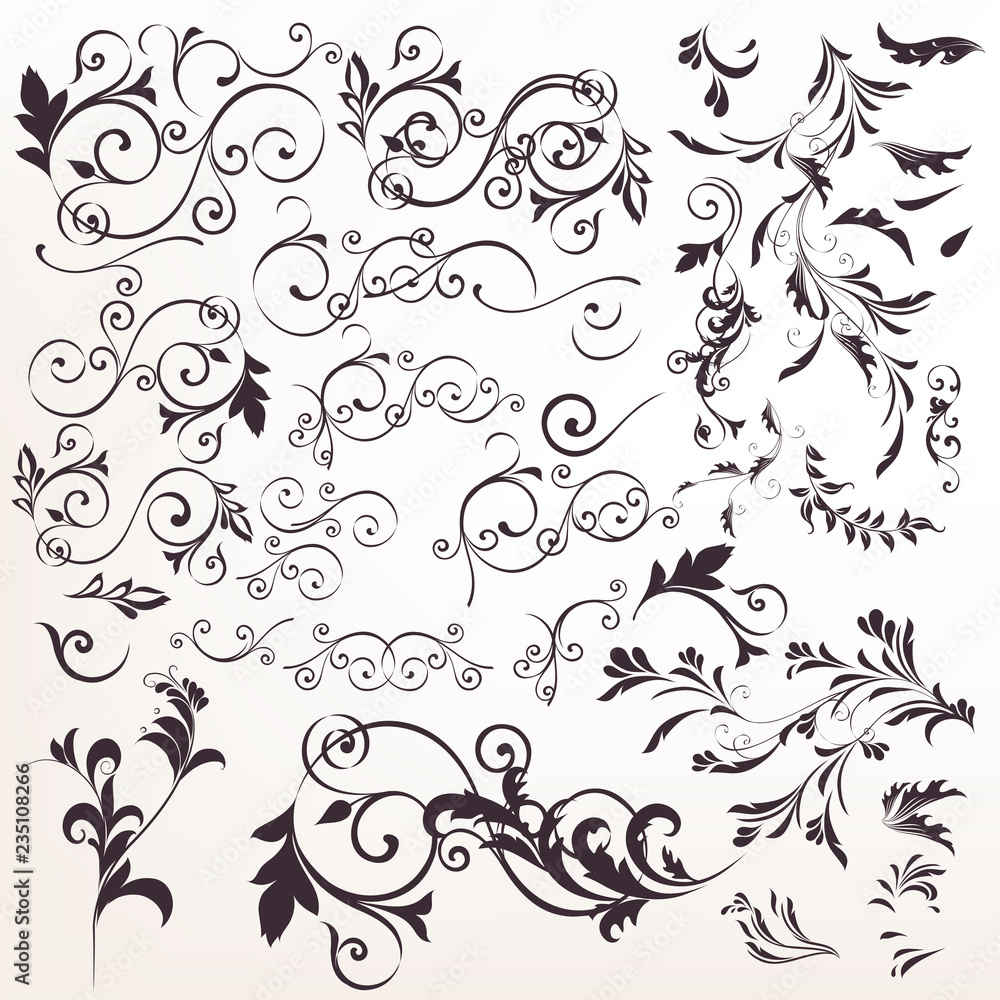 Canvas Prints big collection of vector calligraphic flourishes for design