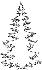 The contour of the forest tree
