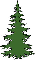 Green Christmas tree on a white background
