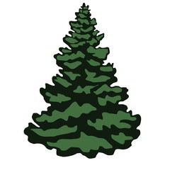 Christmas tree with white snow
