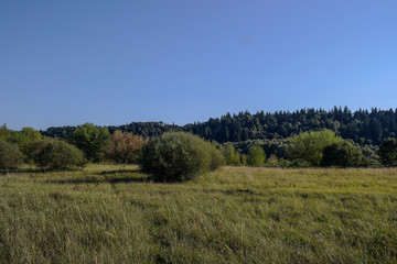 Obraz premium River from the slope