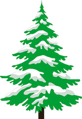 Christmas tree with white snow
