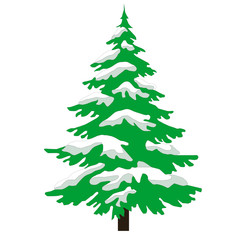Christmas tree with white snow
