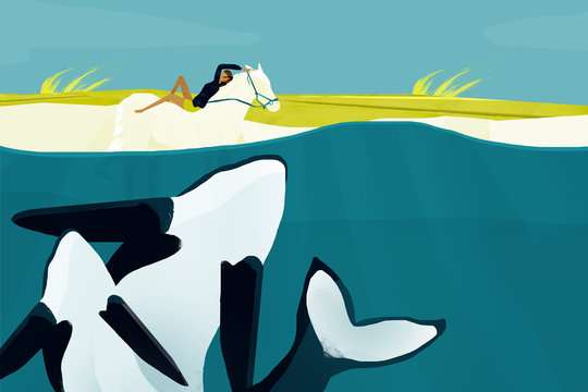 woman lying on horse back with orcas in the foreground in Patagonia