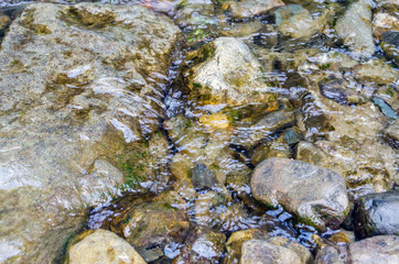 beautiful stones are washed with water