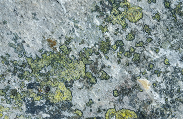 stone texture of nature