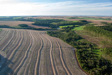 Rural Mosaic