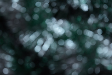 Bokeh photo. Holiday background. Christmas lights. background. Defocused sparkles. New Year...