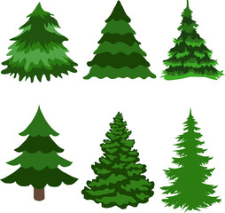 Green Christmas tree on a white background
