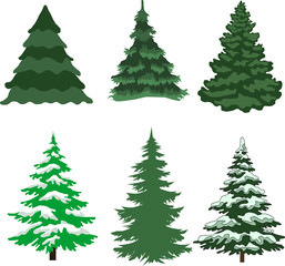 Green Christmas tree on a white background
