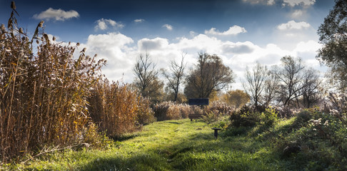 Cold spring day near a beautiful fishing lake in Sarisap, Hungary.