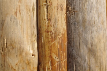 Naklejka premium 木の壁