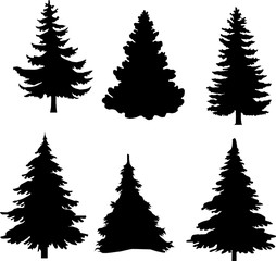 Shadow of green christmas trees on white background
