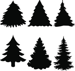 Shadow of green christmas trees on white background
