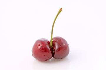 Mature large American cherry on a white background