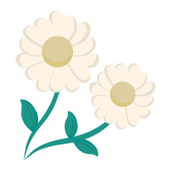 Beautiful flowers design