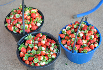 strawberries in a bowl