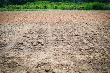 landscape field harrows plowing for agricultural area farmland / soil agriculture area soil...