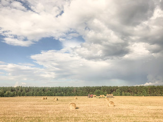 field and blue sky