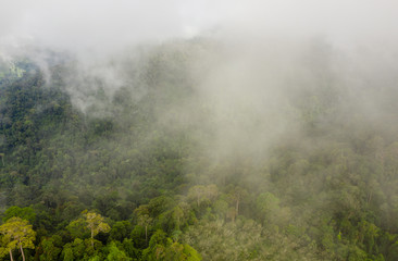 Low clouds and fog forming above mountainous tropical rainforest