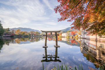 Beautiful red maple leaves and Japanese torii at lake kinrinko, oita, Japan, in autumn sunny day,...