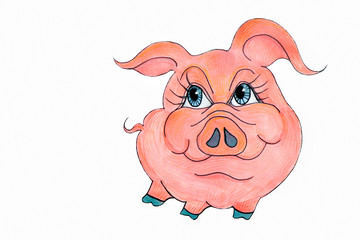 Свинка на белом фоне.