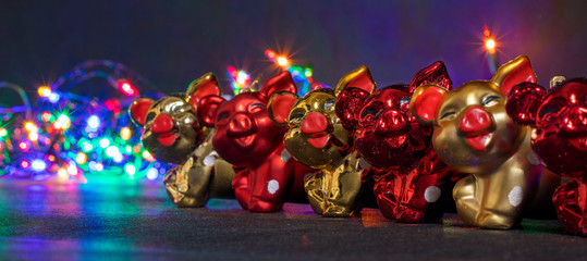 Christmas decorations, pigs, against the background of luminous Christmas lanterns