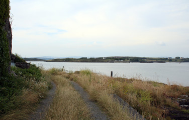 Summer afternoon on Heir Island, Skibbereen in West Cork Ireland