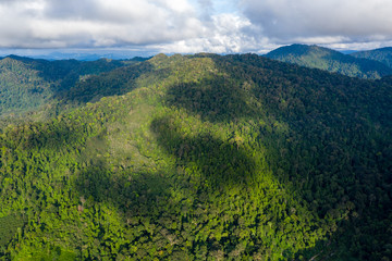 Aerial view of dense, mountainous tropical rainforest in Thailand