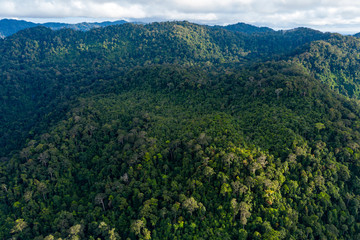 Fototapeta na wymiar Aerial view of dense, mountainous tropical rainforest in Thailand