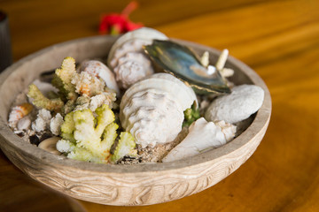 decoration and nature - close up of seashells and corals in bowl on table