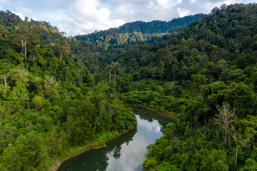 Aerial view of dense, mountainous tropical rainforest in Thailand