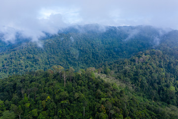 Aerial view of cloud hanging over dense, mountainous tropical jungle