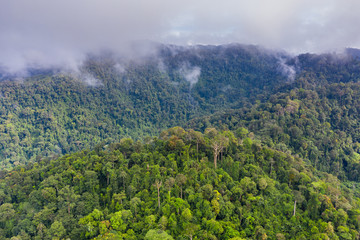 Obraz premium Aerial view of cloud hanging over dense, mountainous tropical jungle