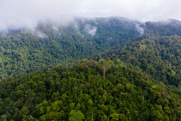 Aerial view of cloud hanging over dense, mountainous tropical jungle