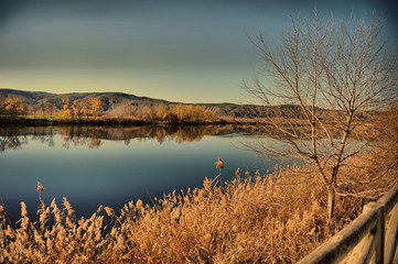 lago en otoño