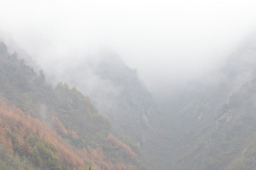 Mist Cover most of the Mountain , Autumn in The Valley