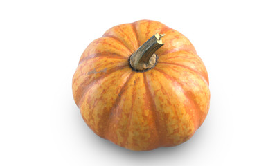 3D illustration of Pumpkin isolated on white background