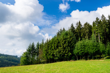 Germany, Perfect edge of black forest nature landscape with sun and blue sky