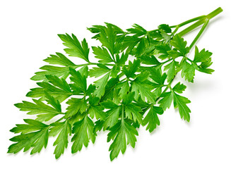 Fototapeta premium Parsley isolated on white