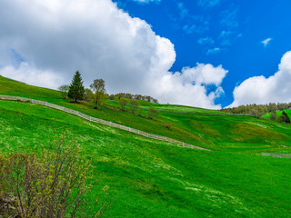 Landschaft im Ultental Bozen Südtirol