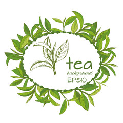 Vector logo of tea, leaves and branches, hand-drawn  - 235128055
