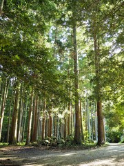 Shrine in Japan