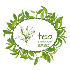 Vector logo of tea, leaves and branches, hand-drawn  - 235128494