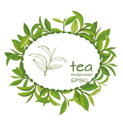 Vector logo of tea, leaves and branches, hand-drawn  - 235128644