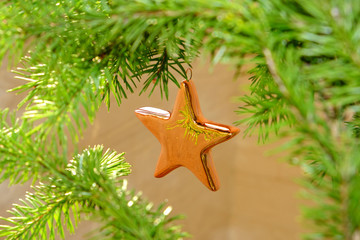 Christmas star on a Christmas tree branch, christmas background