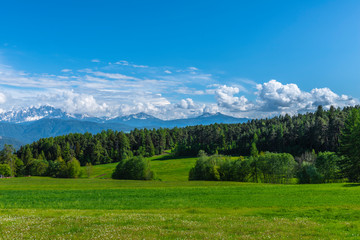 Fototapeta na wymiar Blick vom Rittener Horn auf die Dolomiten Bozen Südtirol