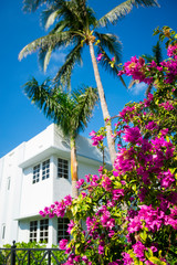 Fototapeta na wymiar Colorful detail of classic Art Deco architecture with palm trees and bougainvillea under bright blue sky in Miami, Florida, USA