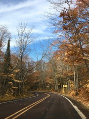Fototapeta premium Open Road with Fall Colors and Curve